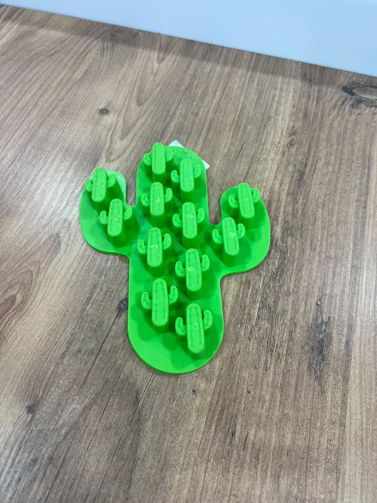 Small Size Cactus Mold