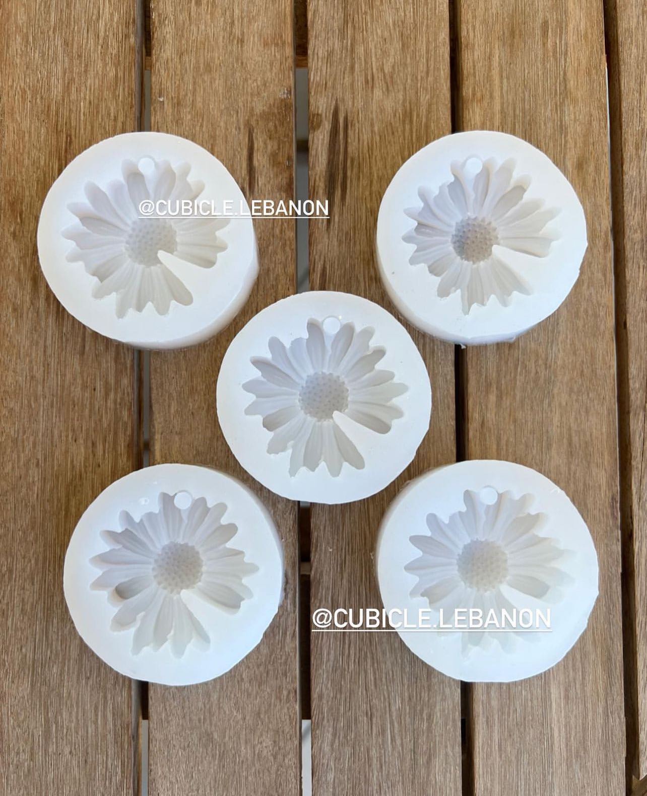 Daisy Mold