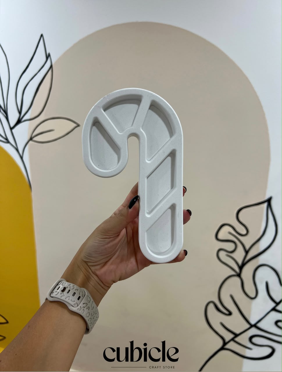 Sugarcane Tray